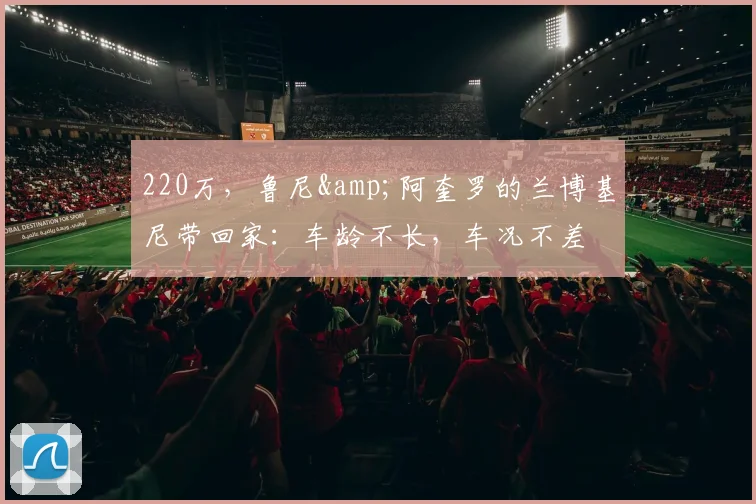 220万，鲁尼&阿奎罗的兰博基尼带回家：车龄不长，车况不差