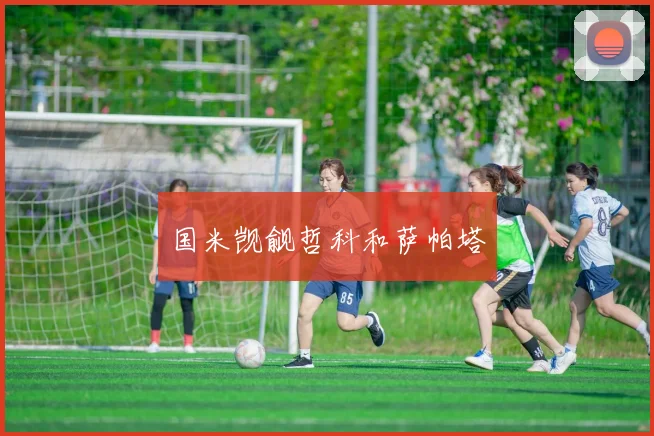 国米觊觎哲科和萨帕塔